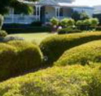 Whiskey Gully Wines - Accommodation Yamba