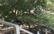 Padthaway Caravan Park - thumb 4