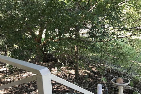 Padthaway Caravan Park - Accommodation Yamba 4