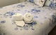 Padthaway Caravan Park - thumb 3