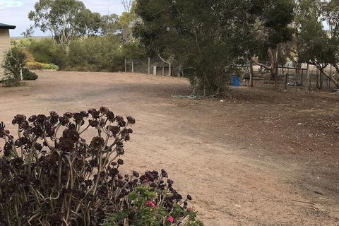 Padthaway Caravan Park - Accommodation Yamba 1