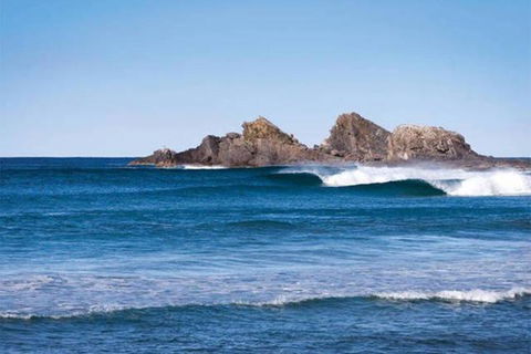 Byron Hinterland Farm Minutes To Everything! - Accommodation Yamba 4