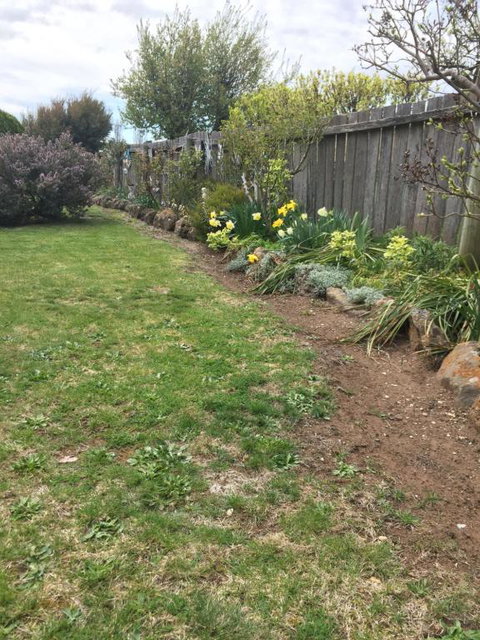 Our Cottage - Accommodation Yamba 2