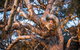 Dragonfly Cottages - thumb 4