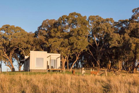 Dragonfly Cottages - Accommodation Yamba 5