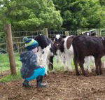 Manderley Park Farmstay B  B - Accommodation Yamba