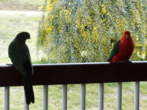 Loughmore House - Accommodation Yamba 2
