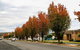 Getaway Tourist Park - thumb 6