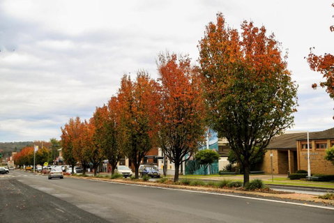 Getaway Tourist Park - Accommodation Yamba 6