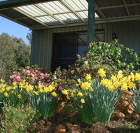 Nannup Riverview Cottage - Accommodation Yamba
