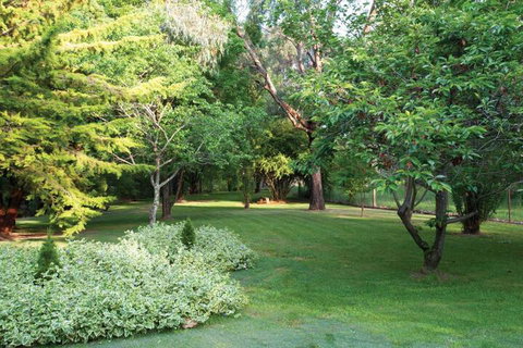 Clifton Gardens Bed & Breakfast Orange - Accommodation Yamba 6