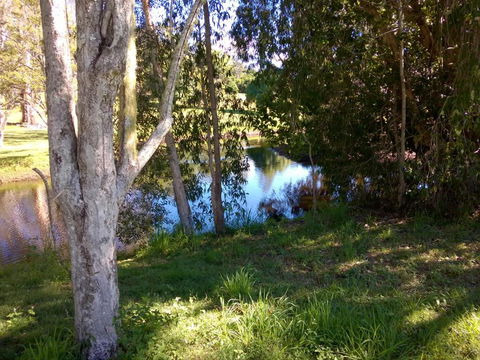 Eumundi Cottages Cottage 1 - Accommodation Yamba 4