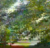 Banyan Tree Resort - Accommodation Yamba