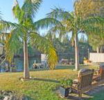 The Oasis on Jacobs Drive - Accommodation Yamba
