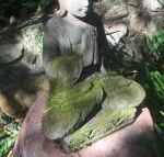 The Tree House. Treetop living near the ocean Coolum Beach QLD Australia - Accommodation Yamba