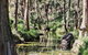 Shady Creek Eco Cabin - thumb 3