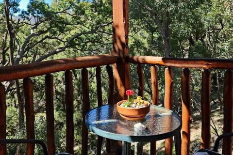 Shady Creek Eco Cabin - Accommodation Yamba 1