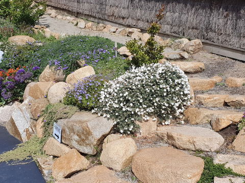 Sapphire Shores Luxury Retreat - Accommodation Yamba 4