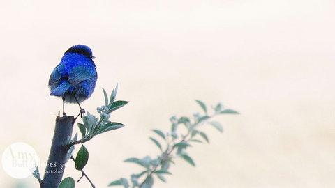 Tegwan's Nest - Accommodation Yamba 1