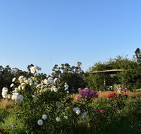 Labertouche Gypsy Creek Winery - Accommodation Yamba