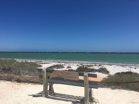 Denham Seaside Caravan Park - Accommodation Yamba 2