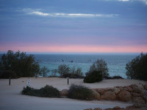 Denham Seaside Caravan Park - Accommodation Yamba 1