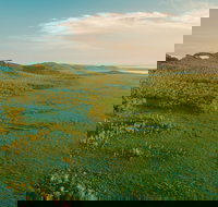 Habitat Noosa - Accommodation Yamba