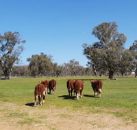 Jindera Park - Accommodation Yamba