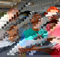 Holiday Haven Burrill Lake - Accommodation Yamba