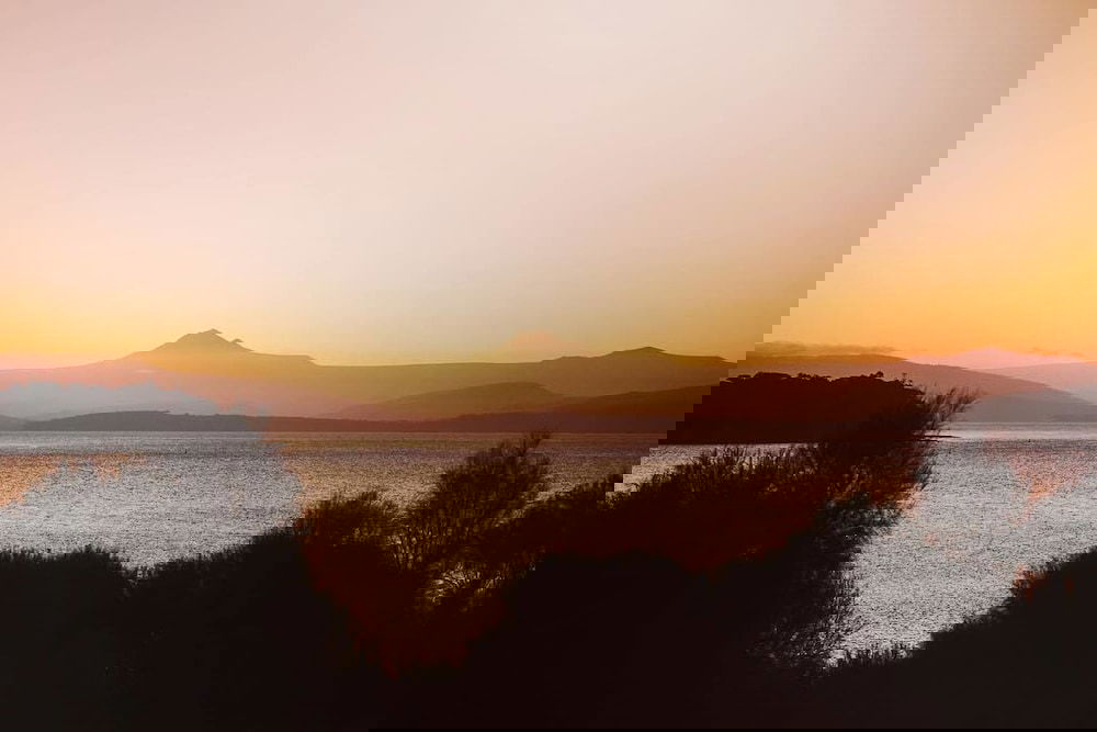 Rosny TAS Accommodation Yamba