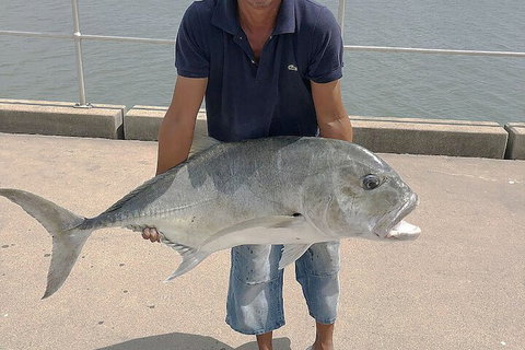 Boatel Cairns - Accommodation Yamba 6