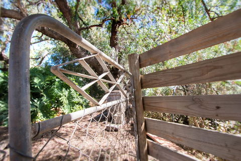 Old Swanport General Store - Accommodation Yamba 1