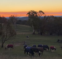 High Country Trail Rides  Farm Stay - Accommodation Yamba