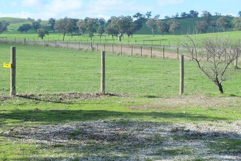 Yea Cabin Bunkhouse - Accommodation Yamba 2