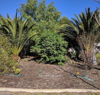 Travellers Inn Kaniva - Accommodation Yamba