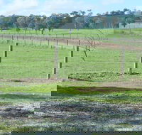 Yea Woodduck Cottage - Accommodation Yamba