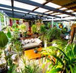 Jaspers Apartments - Accommodation Yamba
