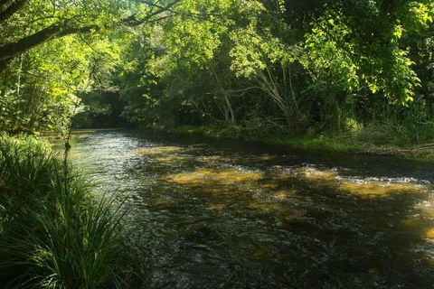 Cairns Homestead Acreage Pet & Family Friendly - Accommodation Yamba 2