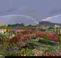 Boat Harbour Garden Cottages - Accommodation Yamba