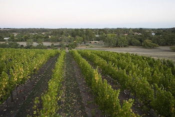 Barristers Block Vigneron Villa - Accommodation Yamba 3