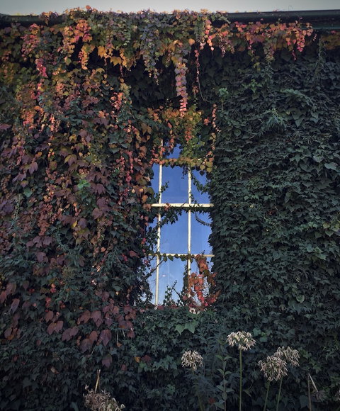 Berida Hotel - Accommodation Yamba 0