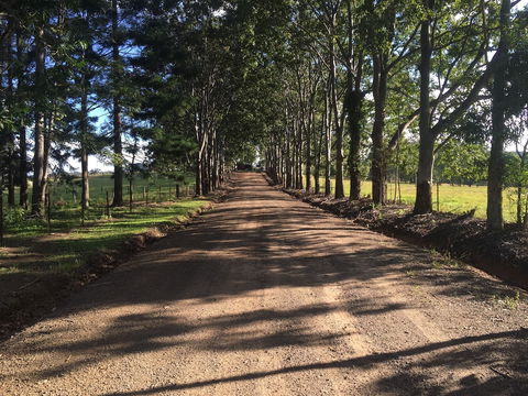 Blackwattle Farm B&B And Farm Stay - Accommodation Yamba 3