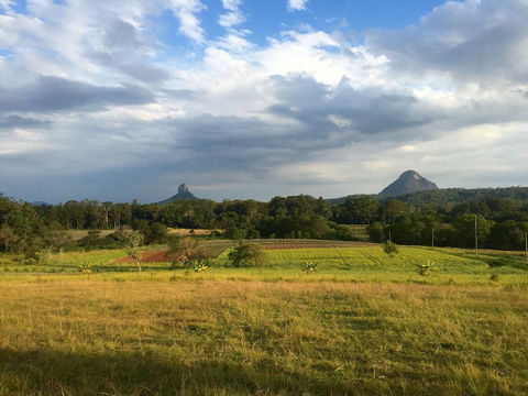Blackwattle Farm B&B And Farm Stay - Accommodation Yamba 0