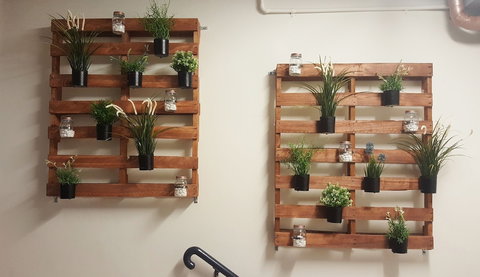 Jackaroo Hostel Sydney - Accommodation Yamba 4