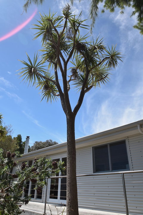 Freycinet Sanctuary At Oyster Bay - Accommodation Yamba 0