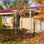 The Greenery - Accommodation Yamba 0