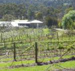 Eureka Farm - Accommodation Yamba