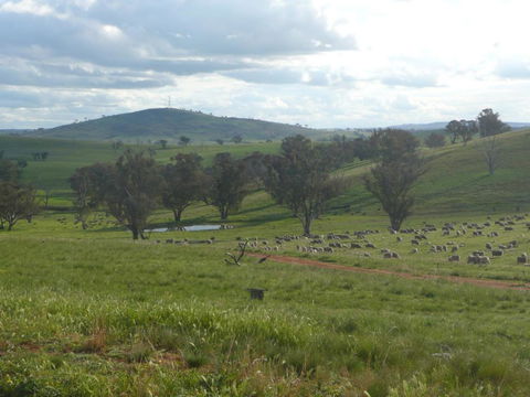 Wantana Cottage Farmstay - Accommodation Yamba 1