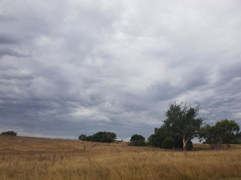 Wantana Cottage Farmstay - Accommodation Yamba 4