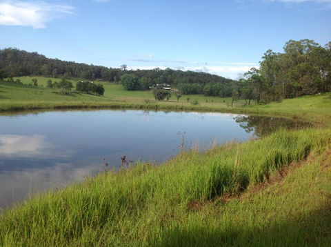 Valle Laguna - Accommodation Yamba 4